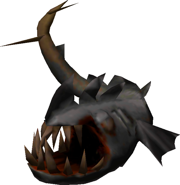 Barracuda Shark